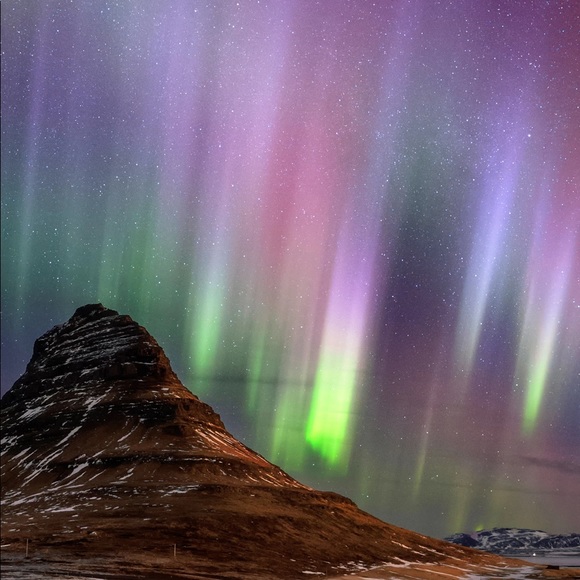 Meet your Posher, Shayla - Picture 1 of 1